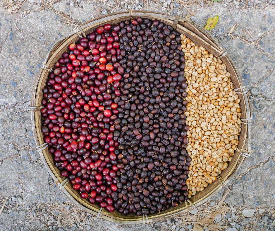 Processing Methods: Washed, Natural, & Honey