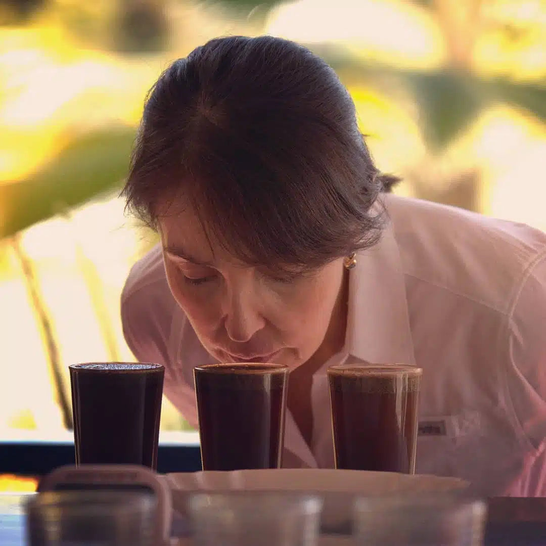 Vergel Estate Anaerobic