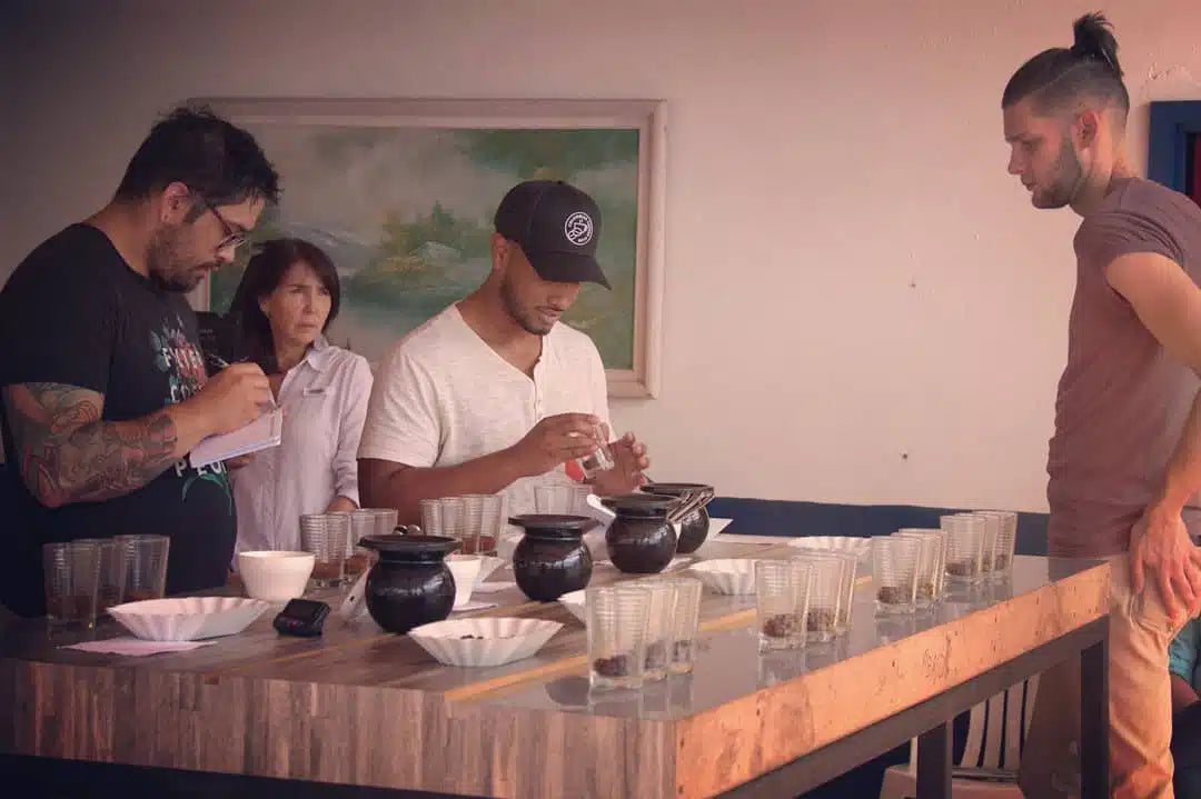 Vergel Estate Anaerobic