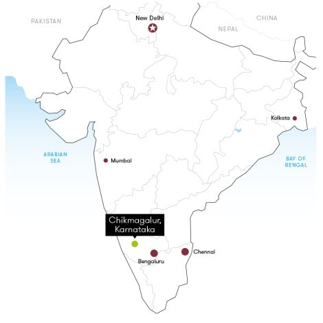 India Pearl Mountain Peaberry