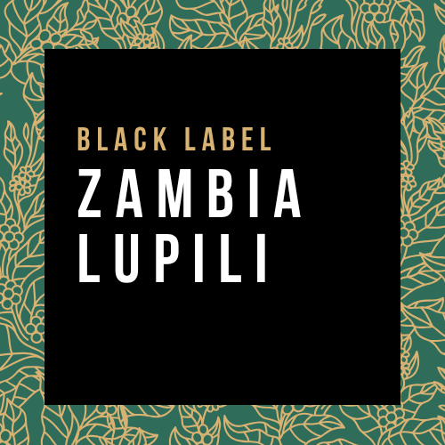 Zambia Lupili