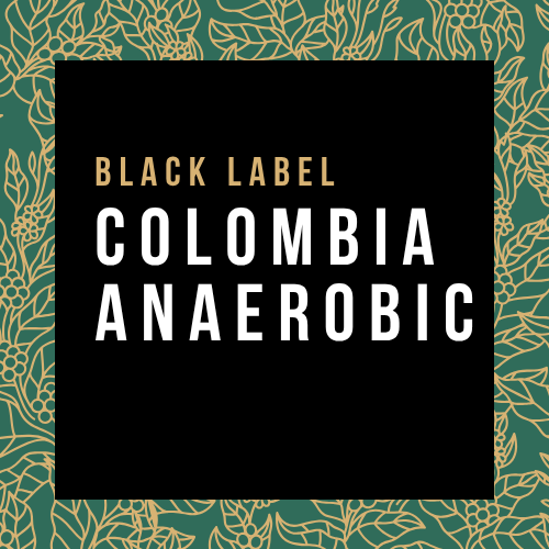 Colombia Anaerobic Wilton Benitez