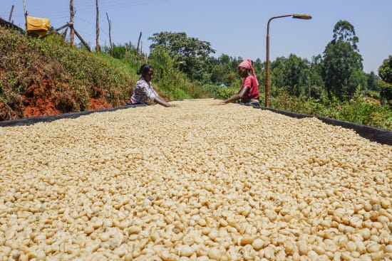 Kenya Kirinyaga