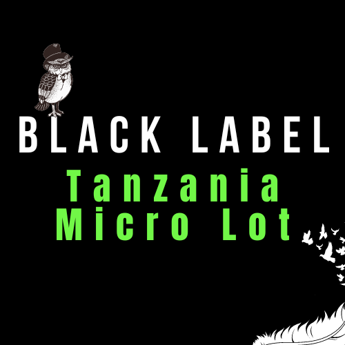 Tanzania Micro Lot (Experimental Process)