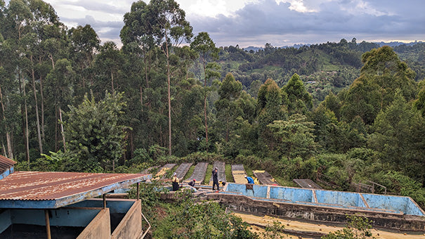 Kenya Kirinyaga
