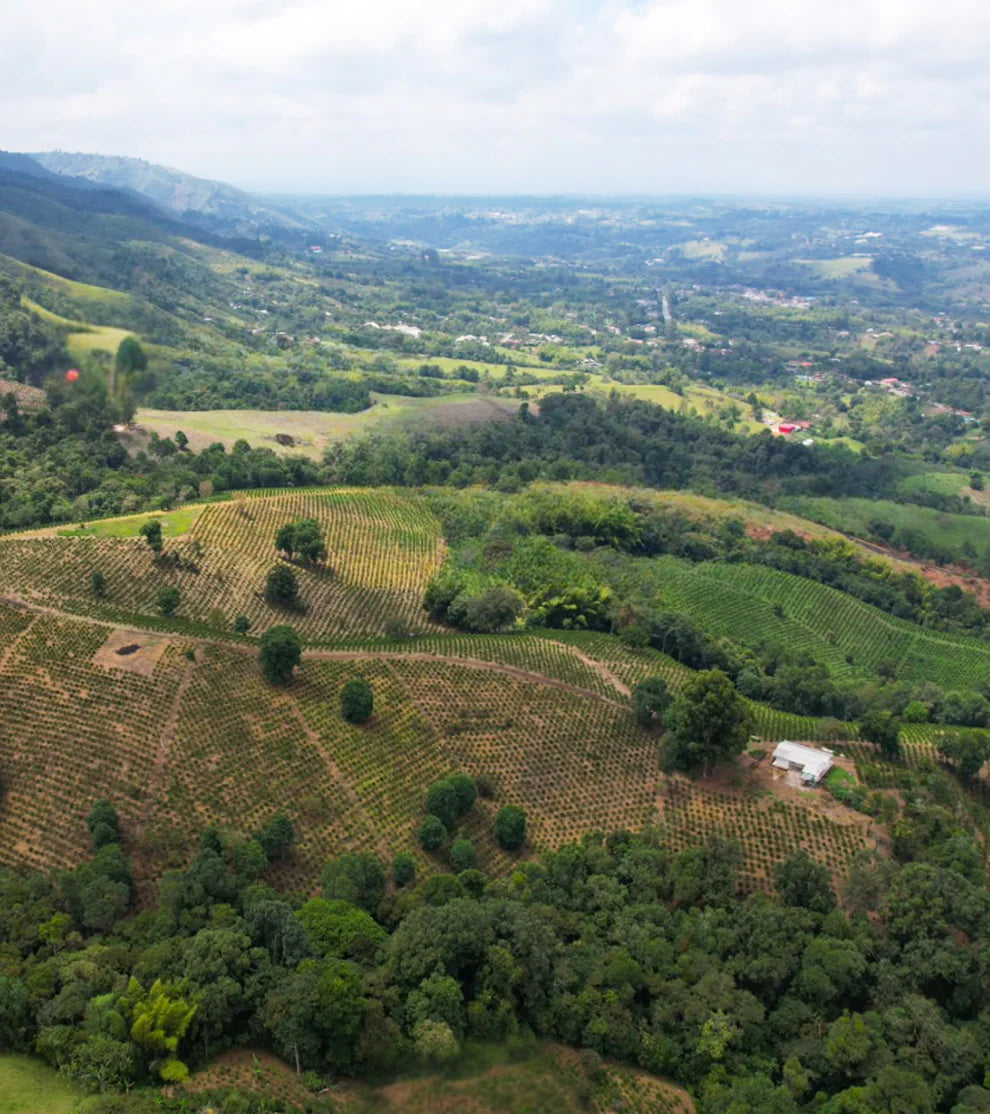 La Macarena coffee farm in Piendamó, Cauca, Colombia, home of Red Bourbon Decaf