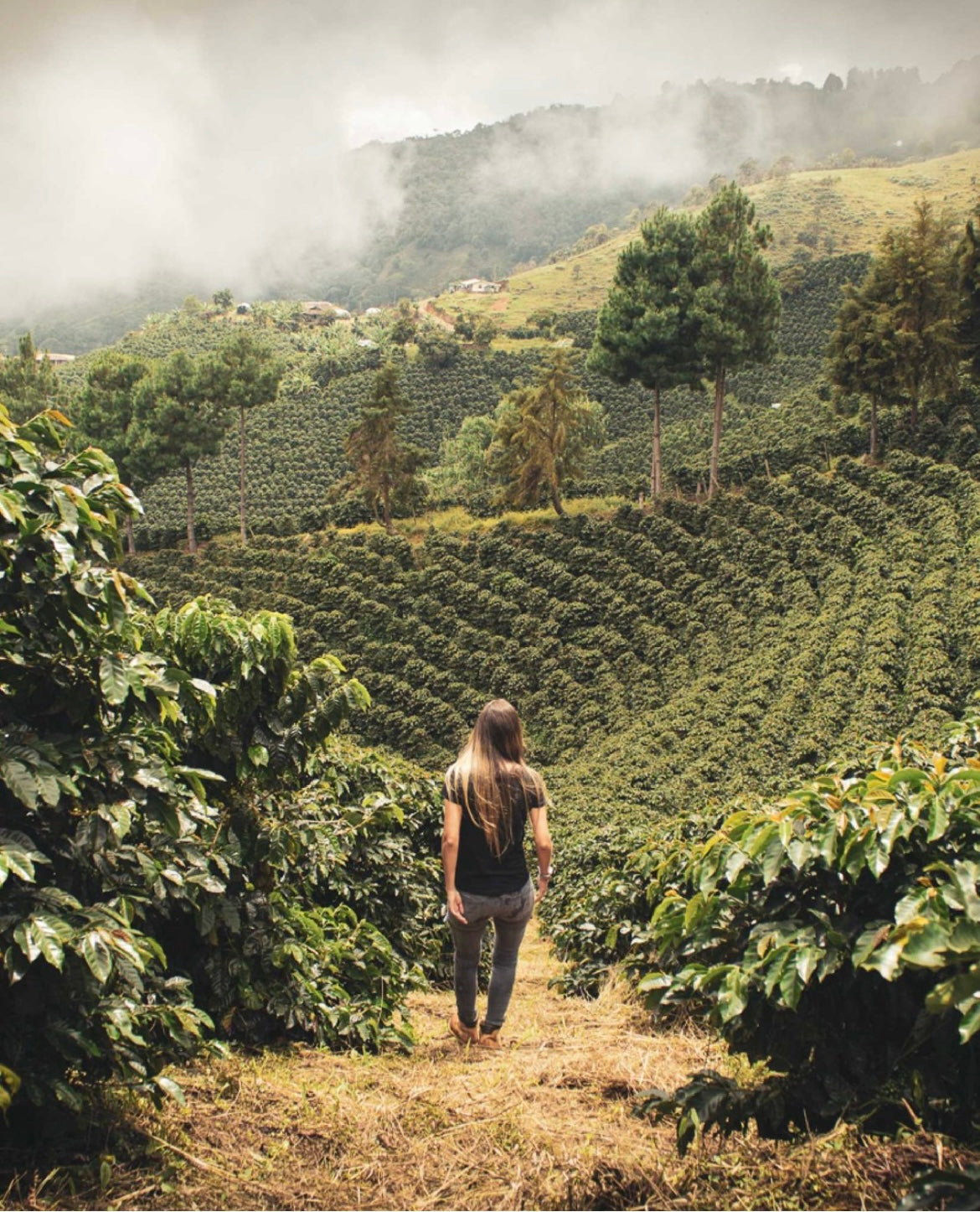 Carolina Posada, third-generation owner of Mina Rica coffee farm