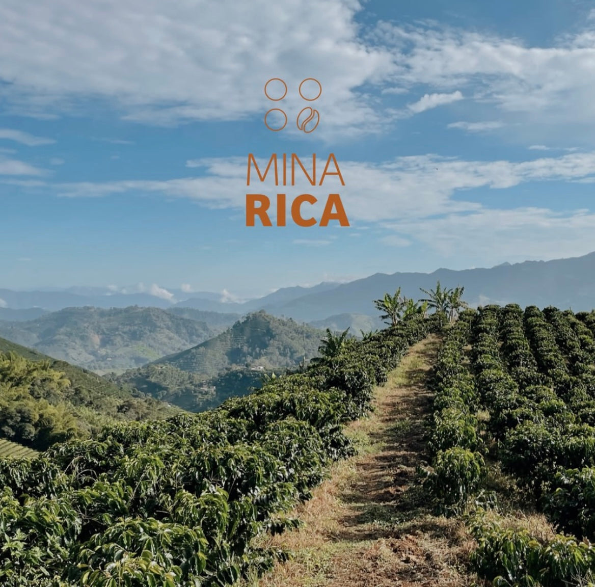 Direct trade coffee beans from Mina Rica Farm, San Gabriel, Colombia